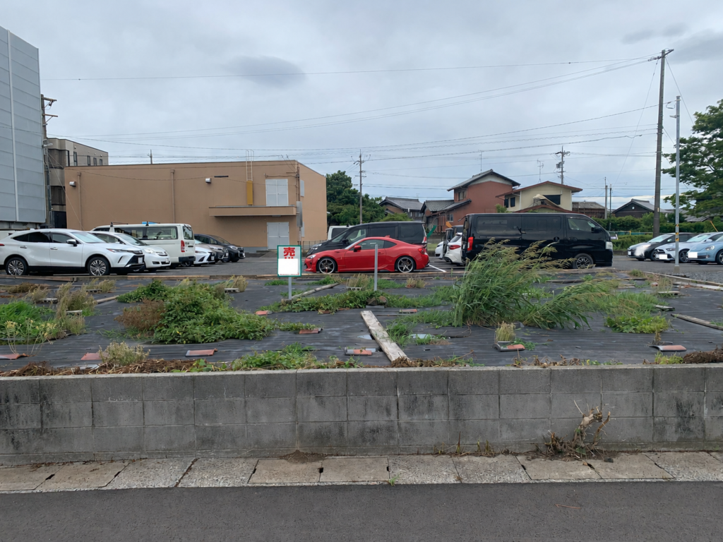 estate_img1